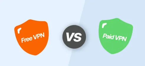 Free vs Paid VPN Which One is Worth Choosing in 2024