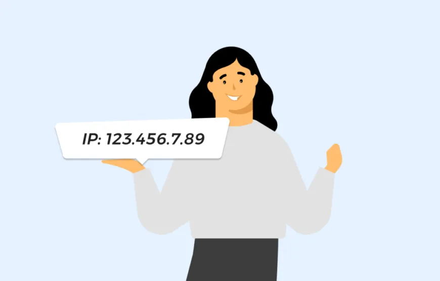 What is an IP address?