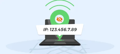 How to Hide IP Address in 2024 (A Comprehensive Guide)